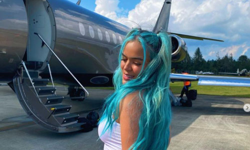 Karol G's Private Plane made an emergency landing after it filled with smoke